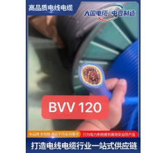 BVV 120平方雙皮絕緣電線(xiàn)